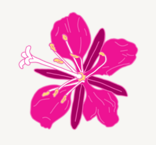 Fireweed Flower Sticker 1"