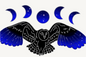 Night Owl Sticker 3" Holograph